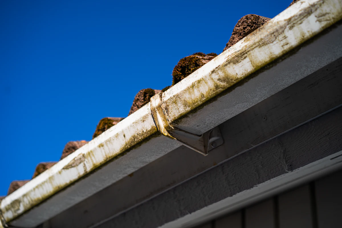 Gutters full of leaves before cleaning