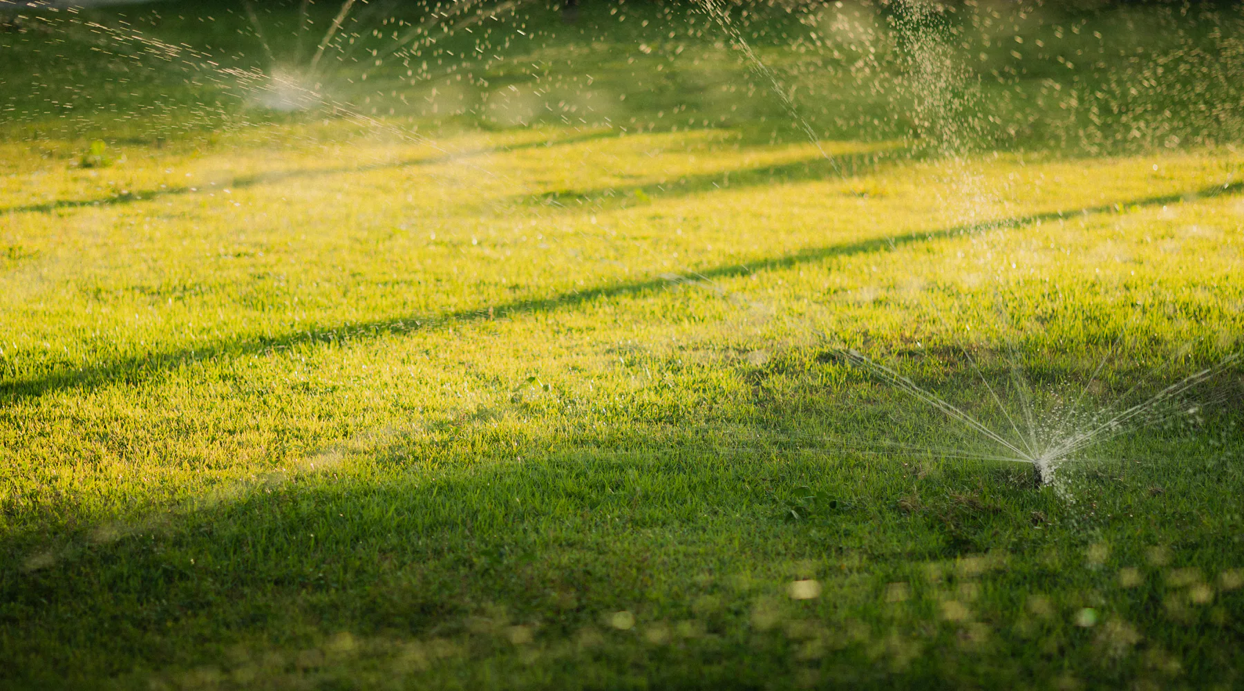 Sprinklers watering a lawn at sunset